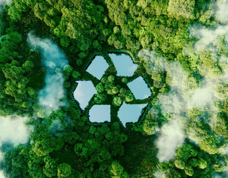 Recyclingzeichen im Wald mit Wolken